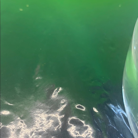 Meet your Posher, Shifra - Picture 1 of 1